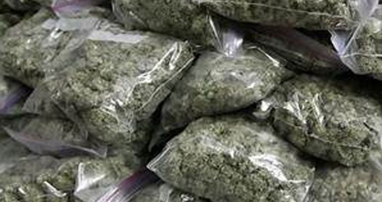 बैंककबाट ल्याएको साढे ४ केजी गाँजा त्रिभुवन विमानस्थलबाट बरामद