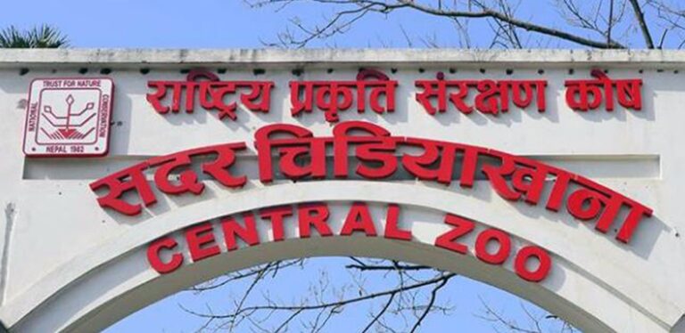 थपियो चिडियाखानामा गैंडा