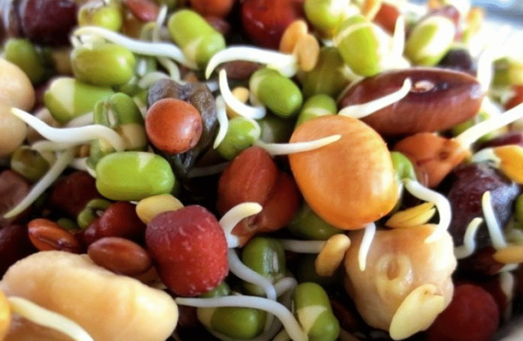 गुन्हुँ पुन्ही : स्वाद, संस्कार र प्रकृतिको सम्मान गर्ने पर्व