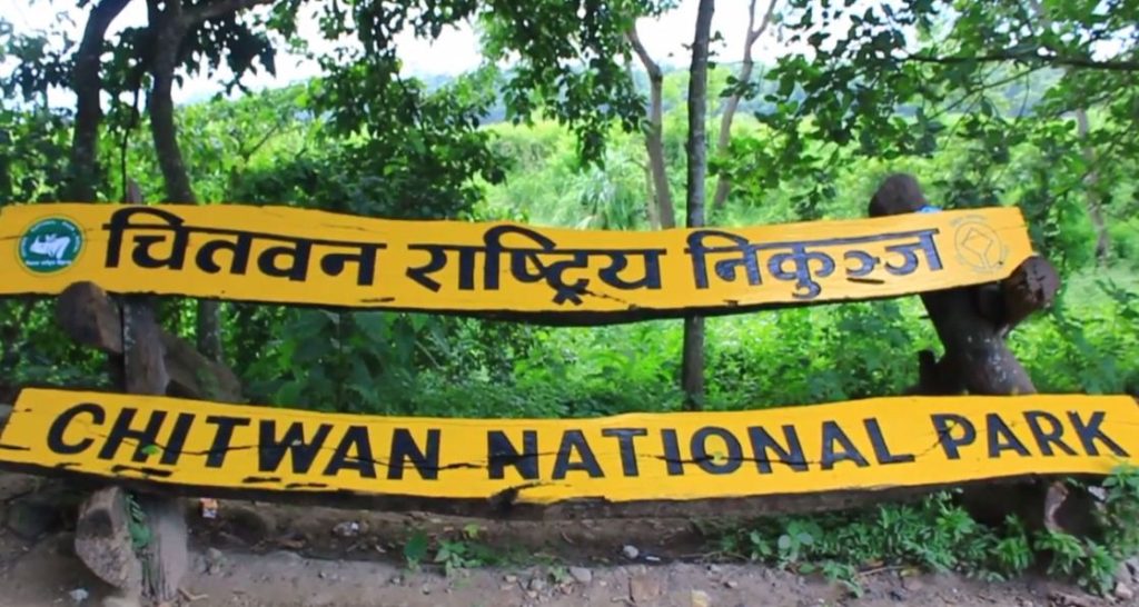 चितवन निकुञ्जमा बाह्य पर्यटक घटे, आन्तरिक पर्यटक भने बढे