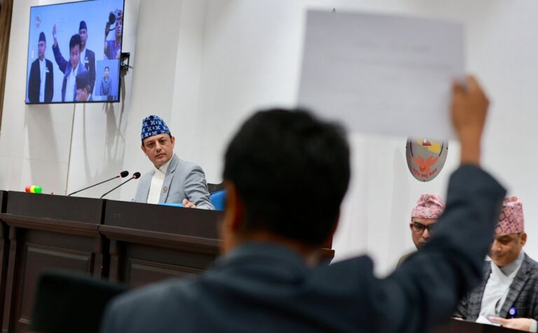 प्रतिनिधिसभामा लगातार दोस्रो दिन श्रम संस्कृति पार्टीको विरोध प्रदर्शन