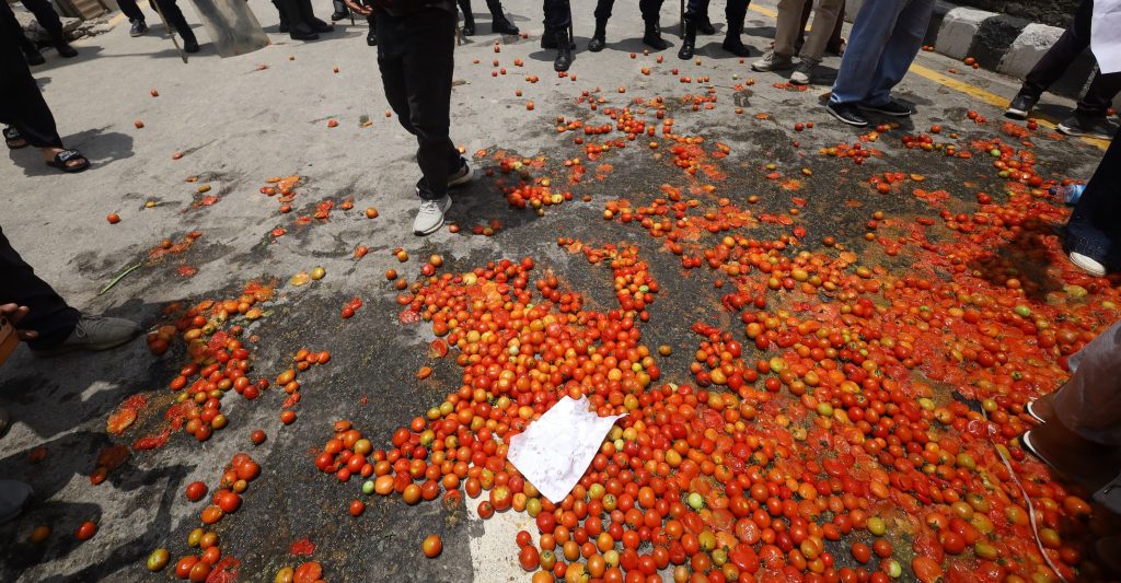 गोलभेँडाको मूल्य नपाएपछि किसानको सरकारविरुद्ध प्रदर्शन